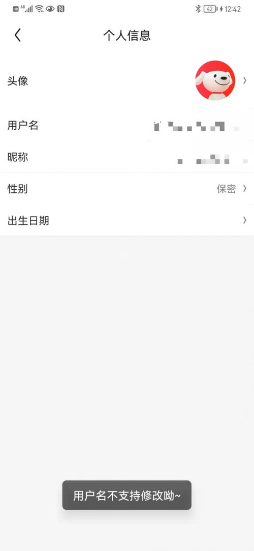 2. 选择易于记忆的名字