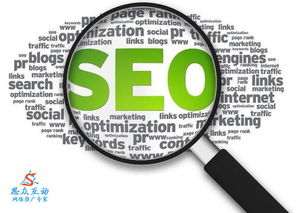 定期检查外链质量和监测数据