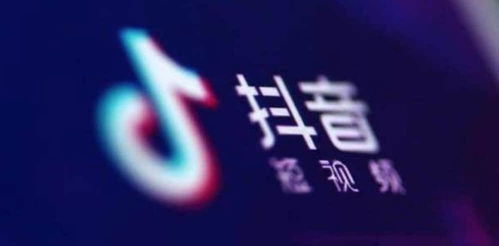 一、 内容定位与选题