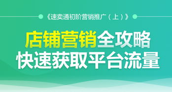 速卖通付费推广概述