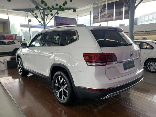 四、 提供专业搭配建议