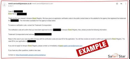 案例分析：金牌卖家Sophie老师的成功之道