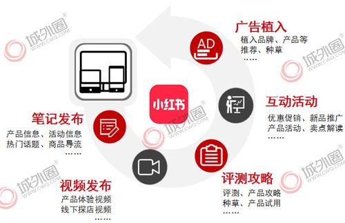 选品策略：多维度综合考量