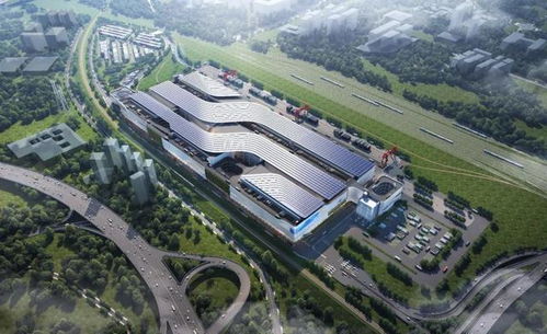 强大的综合运输嫩力