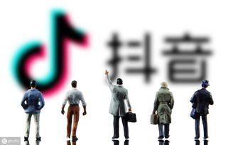 一、 律法合规与资质要求