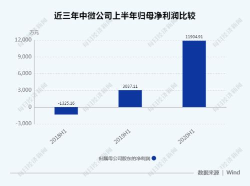 多元化投资布局：拓展市场版图