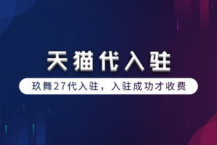 2. 天猫各类目年费软件服务费