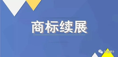 商标宣传：品牌文化的传播与社会认知的塑造