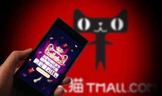 三、 天猫国际店铺优化策略详述