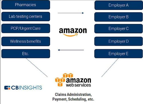 深入了解亚马逊平台