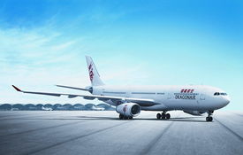 三、 卡塔尔航空公司的服务品质