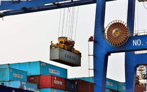 如何区分滞箱费、 滞港费、免箱期、免堆期