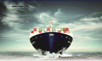 七、 数字化浪潮下的组合拆柜