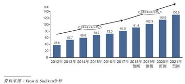 专注特定支付方式的服务商：高效且针对性的解决方案