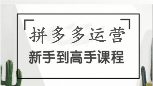 一、 拼多多无货源店铺的优势与挑战