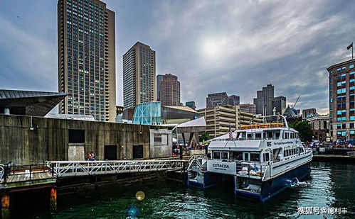 美国：跨国企业的理想注册地