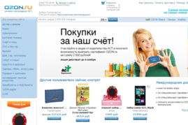 五、购物体验与促销策略