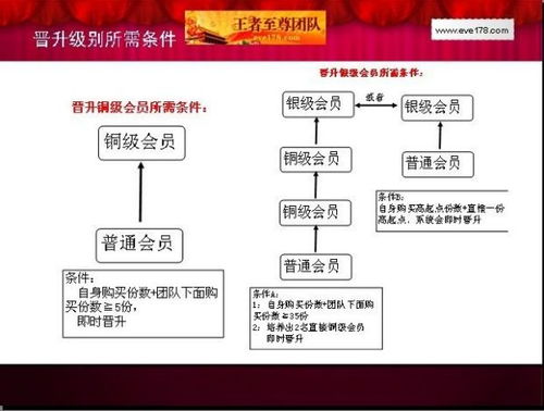 网店前期运营概述