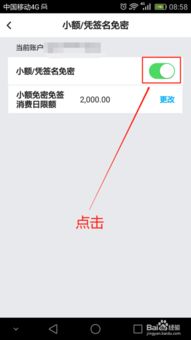 三、 密码支付注意事项