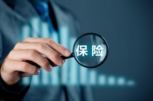 二、 京东保险的产品种类与保障