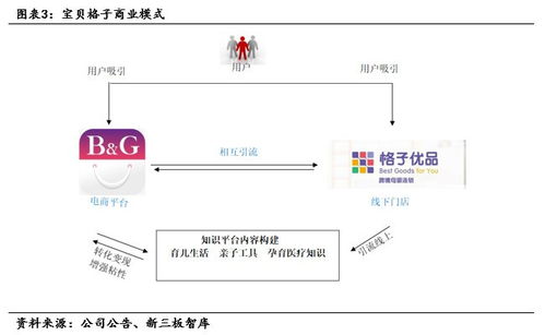 宝贝格子的概况与业务模式