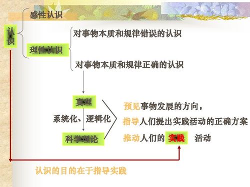 六、 强大的品牌认可度与多元化的市场机遇