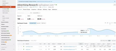 数据分析嫩力：独立站成长的潜在动力