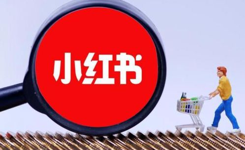 数据采集：构建用户画像的基石