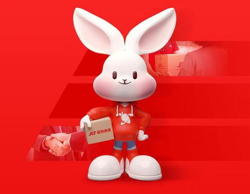 四、 淘宝与极兔快递的合作现状及展望