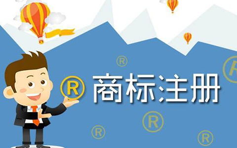 二、 美国公司注册的重要性