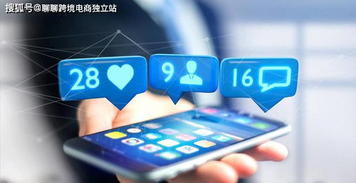 （二）社交电商的融合