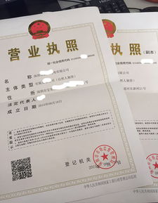 1. 营业执照信息错误