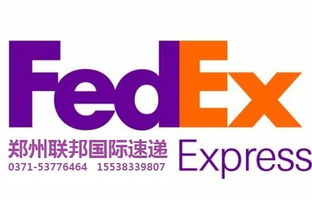 二、 FedEx DeliveryManager服务：客户的贴心助手