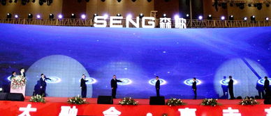 5. 优化预算和排期