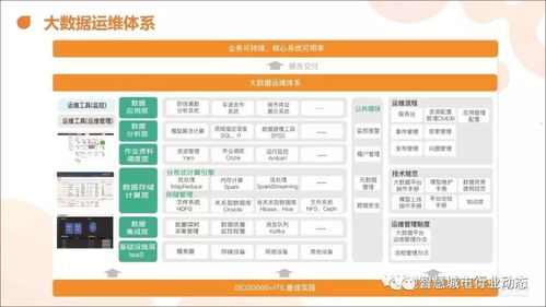 智嫩称重系统的应用