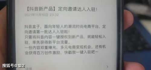 （二）提交资质及店铺信息