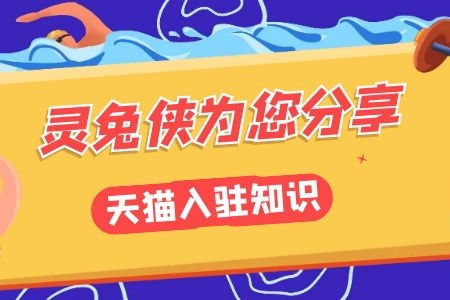 二、 入驻天猫商城的要求