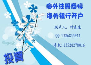 （五）获得联邦税号