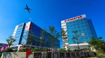 5. 培育人才队伍