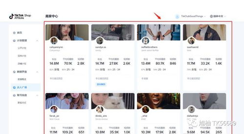 一、 TikTok联盟营销计划概述
