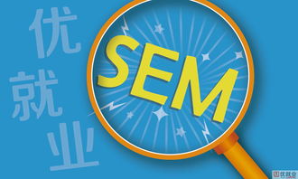 淘宝SEM与SEO的协同作用与效果对比