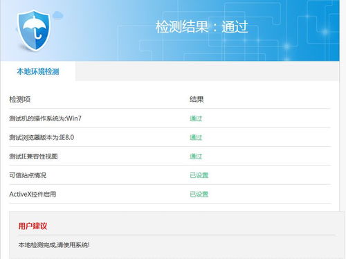 访问税务局网站