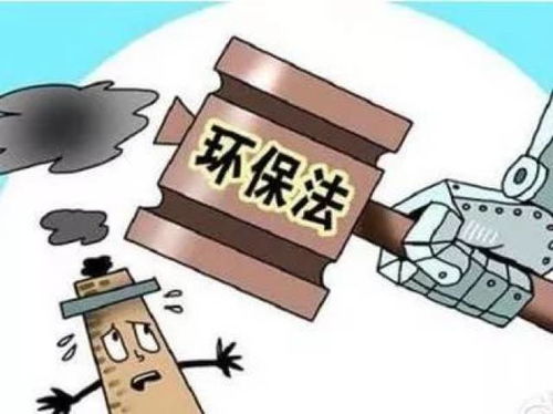 符合国际环保和健康标准