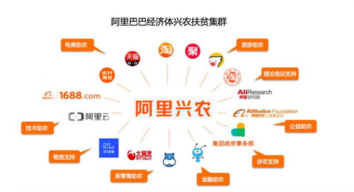 我国老龄化问题日益严峻，健康角行动应运而生