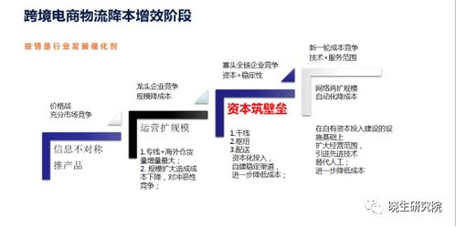一、 清关环节的优化与政策遵循