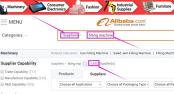 四、 国际信誉卡支付