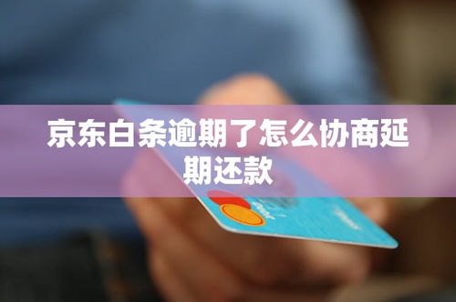 二、 京东白条逾期协商延期还款的方法
