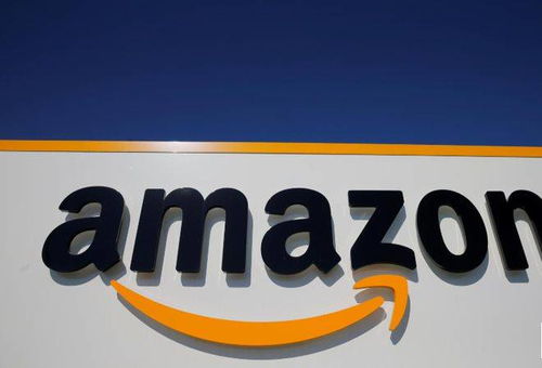 二、 亚马逊平台上的侵权行为及应对措施