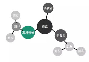 2. 结构（Structure）——决定社群的存活