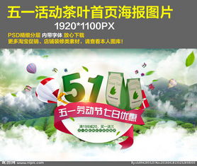 二、 活动报名与节奏